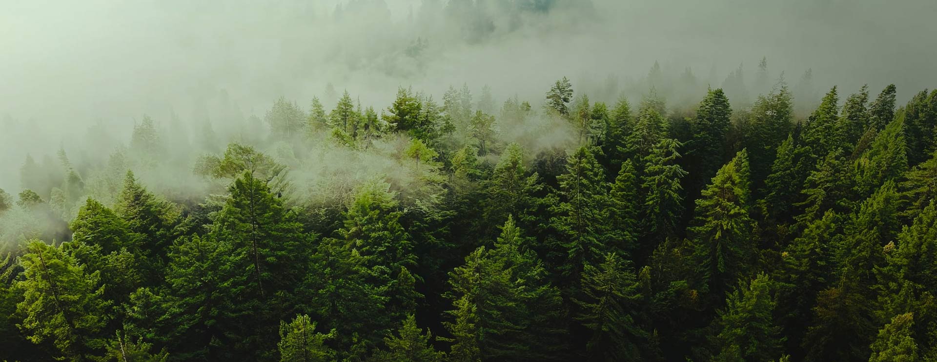 南通蘇芳紡織有限公司